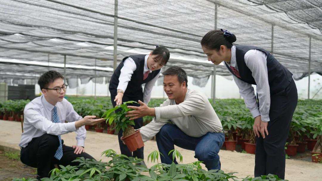 政策及时雨，深度解读释放的重要信号与观点阐述