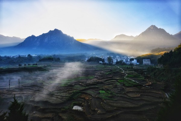 最新电鱼视频，探索自然美景，唤醒内心平静之旅