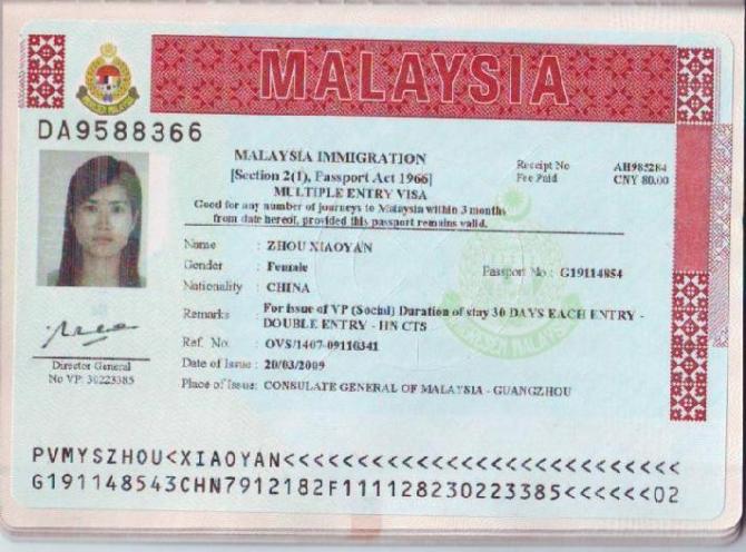 印尼最新签证政策详解，步骤指南与申请要点