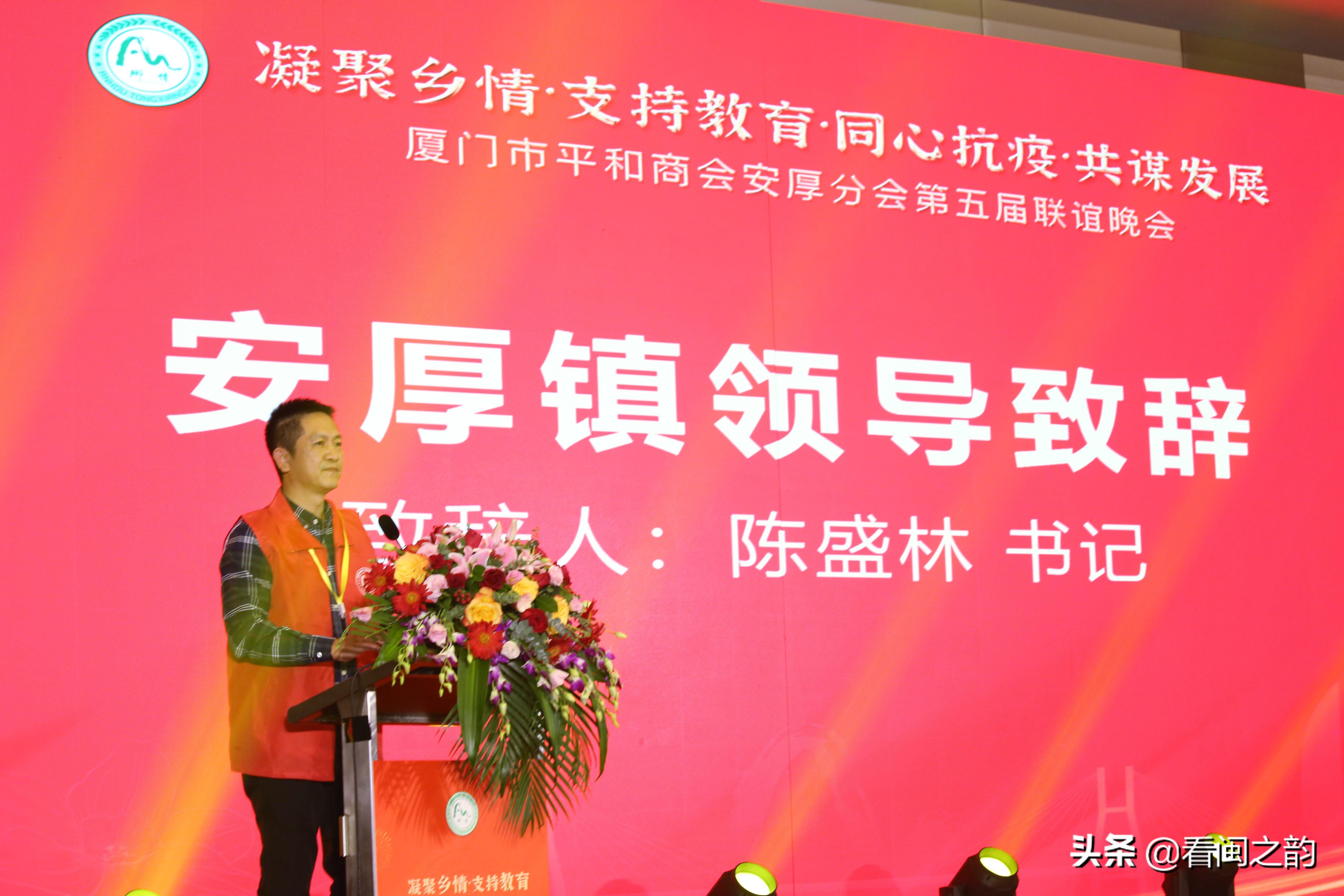 厦门最新新闻，与自然美景的邂逅，踏寻内心平和之旅