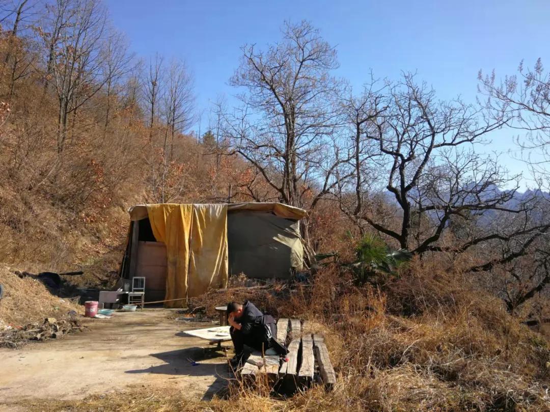 内蒙最新新闻动态，观点阐述与深度解析