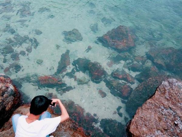 海关最新动态，启程探索自然美景，探寻内心宁静之乐