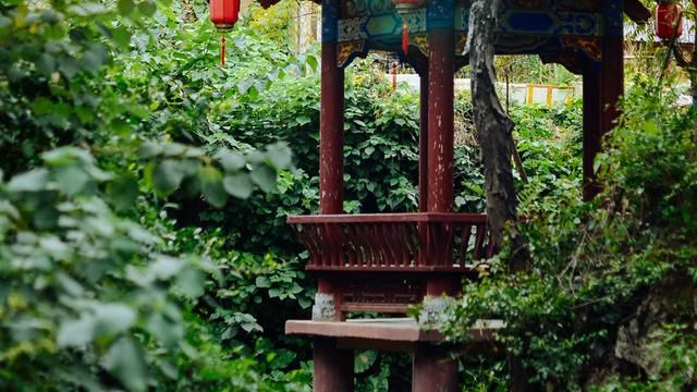 里番最新下载,里番之旅，探索自然美景，寻找内心的平和宁静