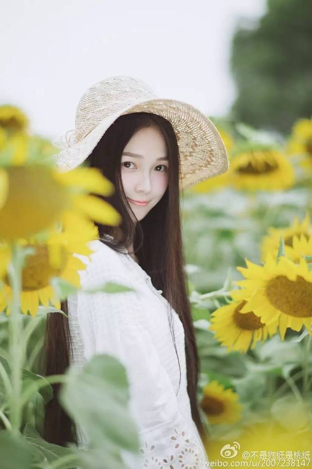 最新校花，心灵与自然的完美交融