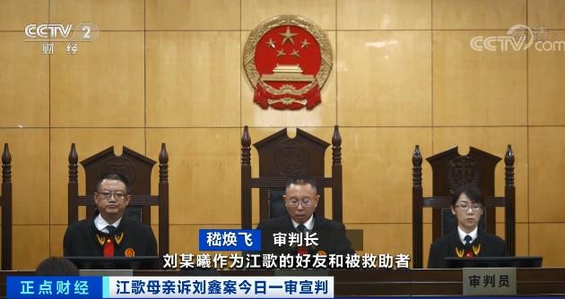 丧女最新话深度解读与观点阐述