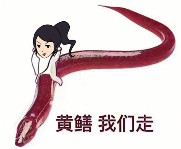 黄鳝门的奇遇，友情与陪伴的温馨故事更新资源分享
