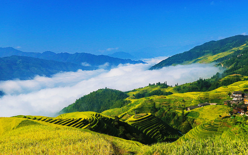 王宗继最新之旅，探索自然美景，追寻内心平和