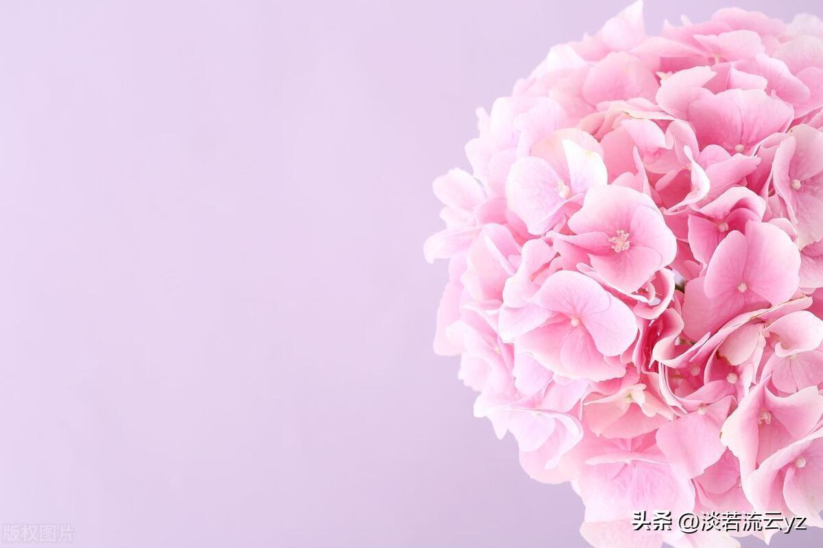 与3D动漫头像男共赴自然美景探索之旅