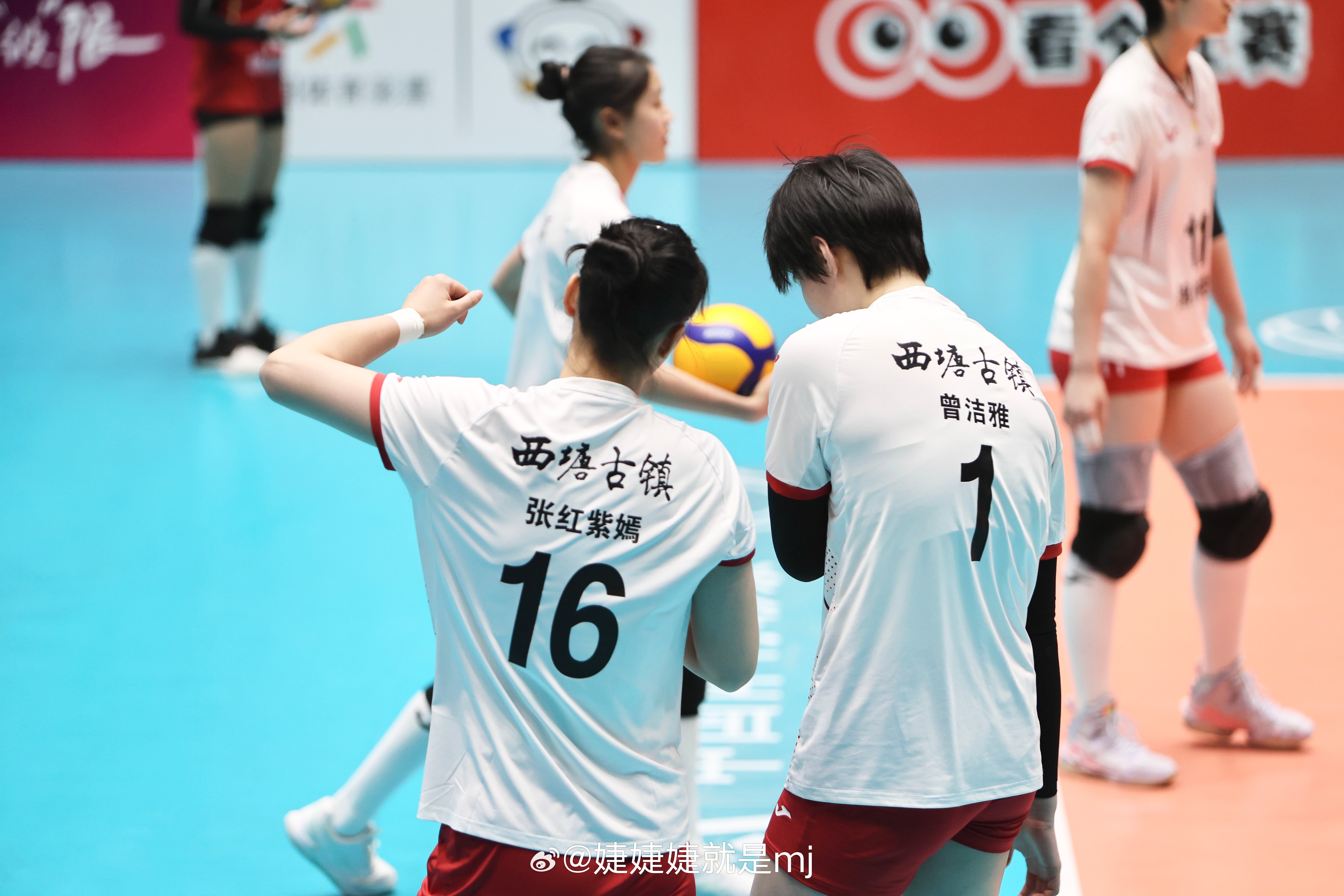 浙江女排最新动态与消息更新🏐