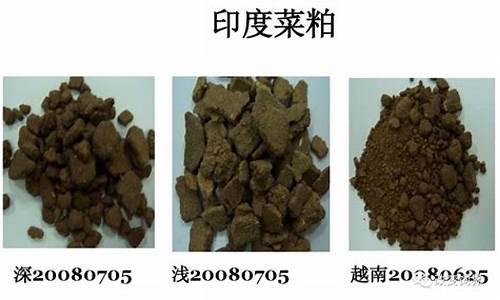 菜粕最新现货价格与探索自然美景的双重体验