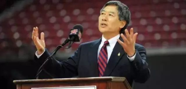 杨舒平最新动态揭秘，多重人生面纱下的最新消息
