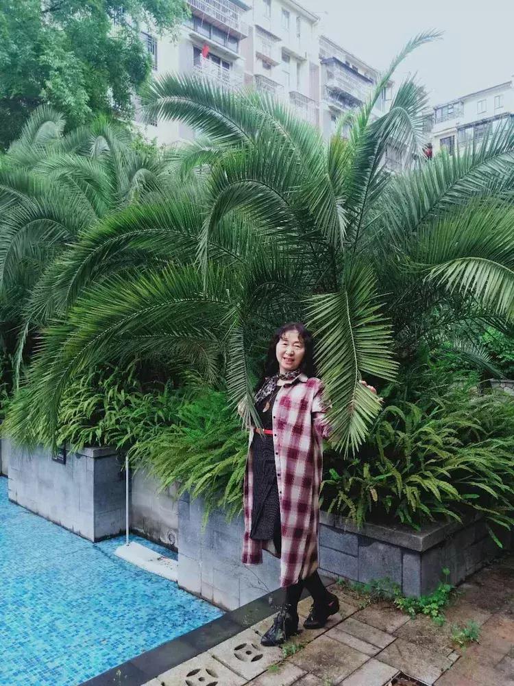QQ2018最新版，探索自然美景，寻找内心平和的旅程