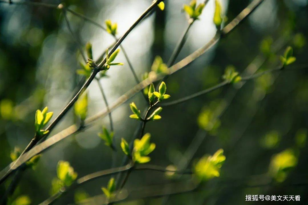 山东汇搜网络技 第48页