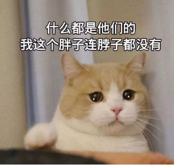 云南草果最新价格