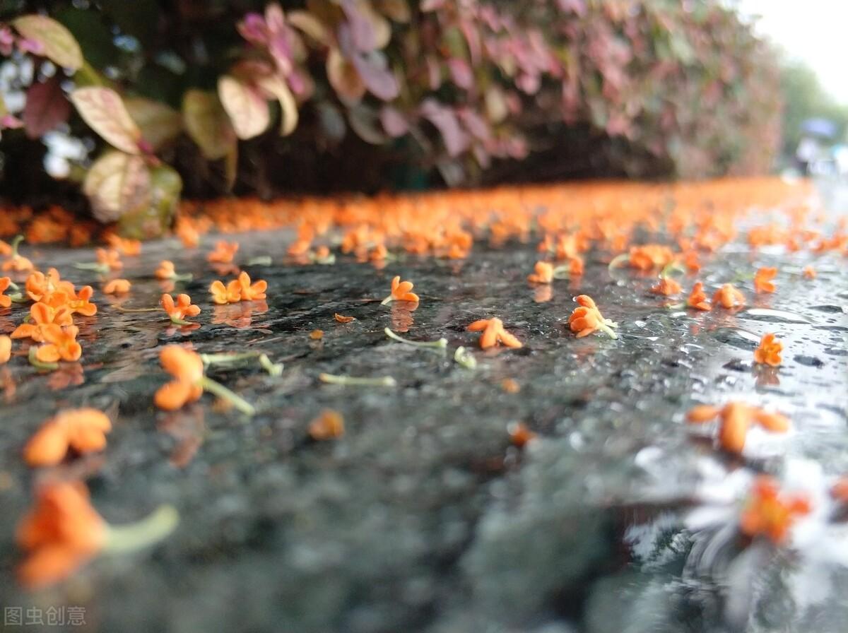 赣榆吧最新动态更新，最新消息汇总
