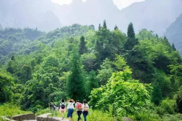 自然美景探索之旅，最新步道之旅