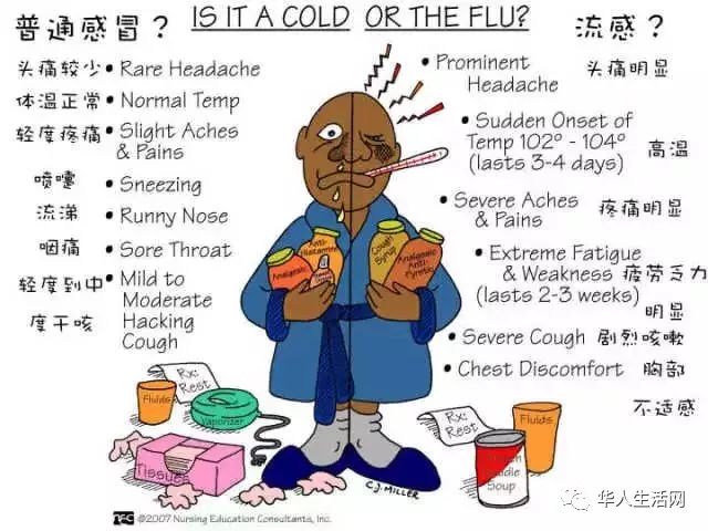 最新疫情流感下的自然美景之旅，寻找内心的宁静与平和