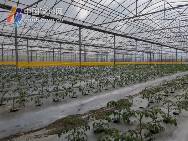 科技引领新时代的智能养鸡棚，让生活因智能养鸡而精彩