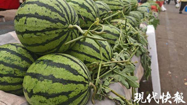 水果之王的新时代，西瓜的时代变迁与地位