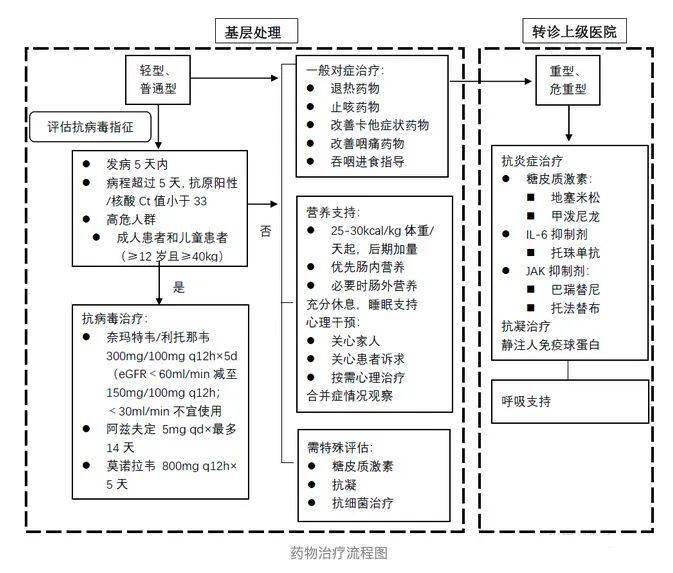 诊疗方案最新,诊疗方案最新，背景、进展与地位