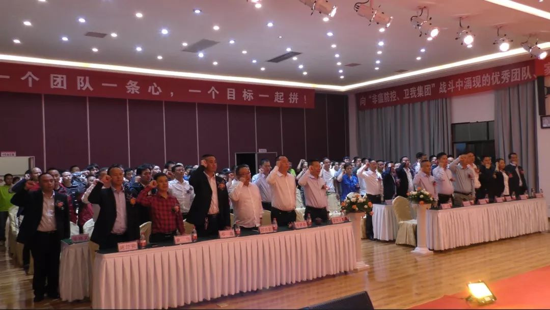 河南最新防治策略实施，砥砺前行，共建美好未来