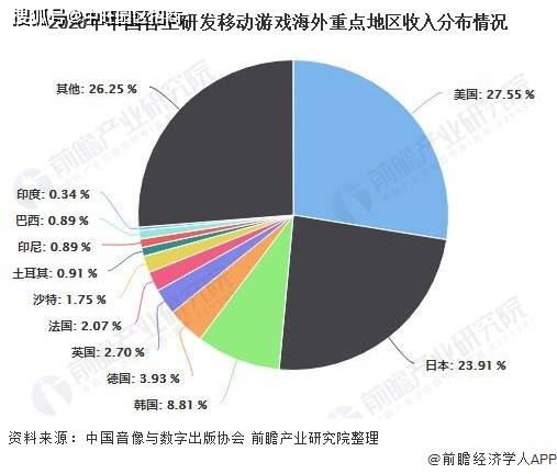 中国最新负债状况深度解析与案例剖析
