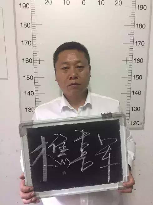 玉溪最新通告深度解读与观点阐述