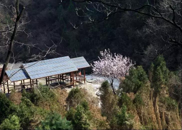 最新乘法，自然之旅中寻找内心宁静与平和的旅程