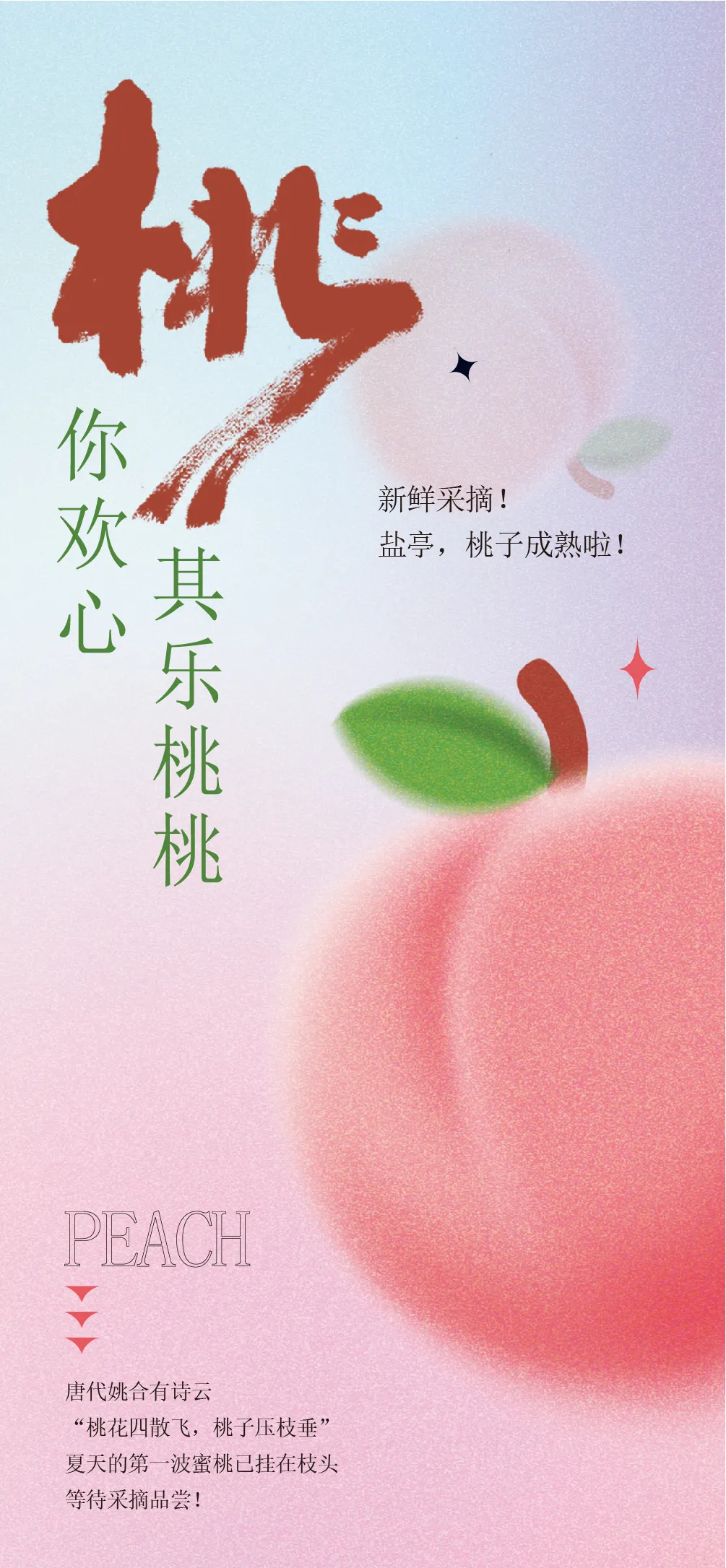 最新桃子歌，时代之声的璀璨绽放