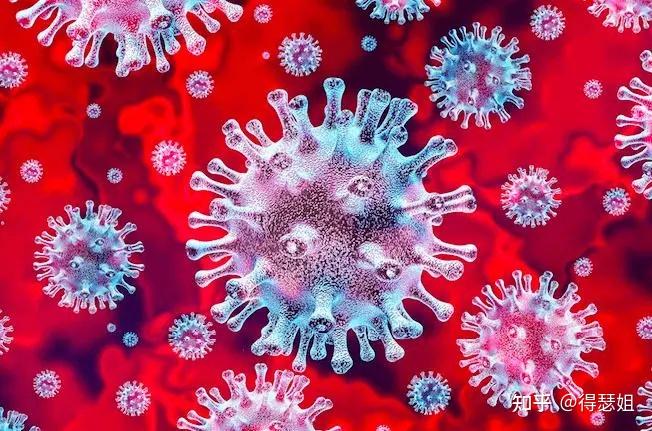 全南病毒最新动态，背景、事件、影响与时代地位全面解析