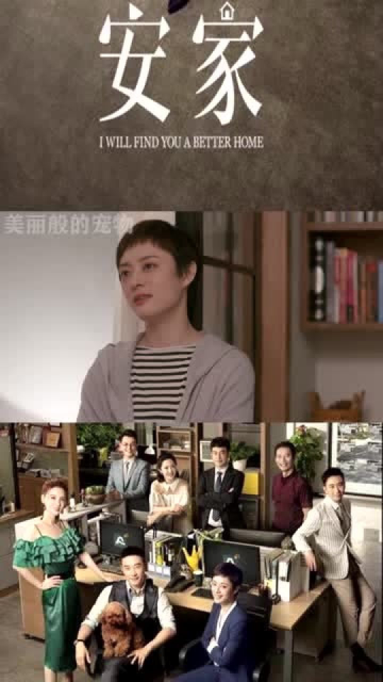 最新安家，温馨有趣的日常故事