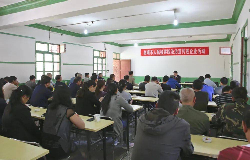 城市小窝的温馨故事，最新净资本揭秘