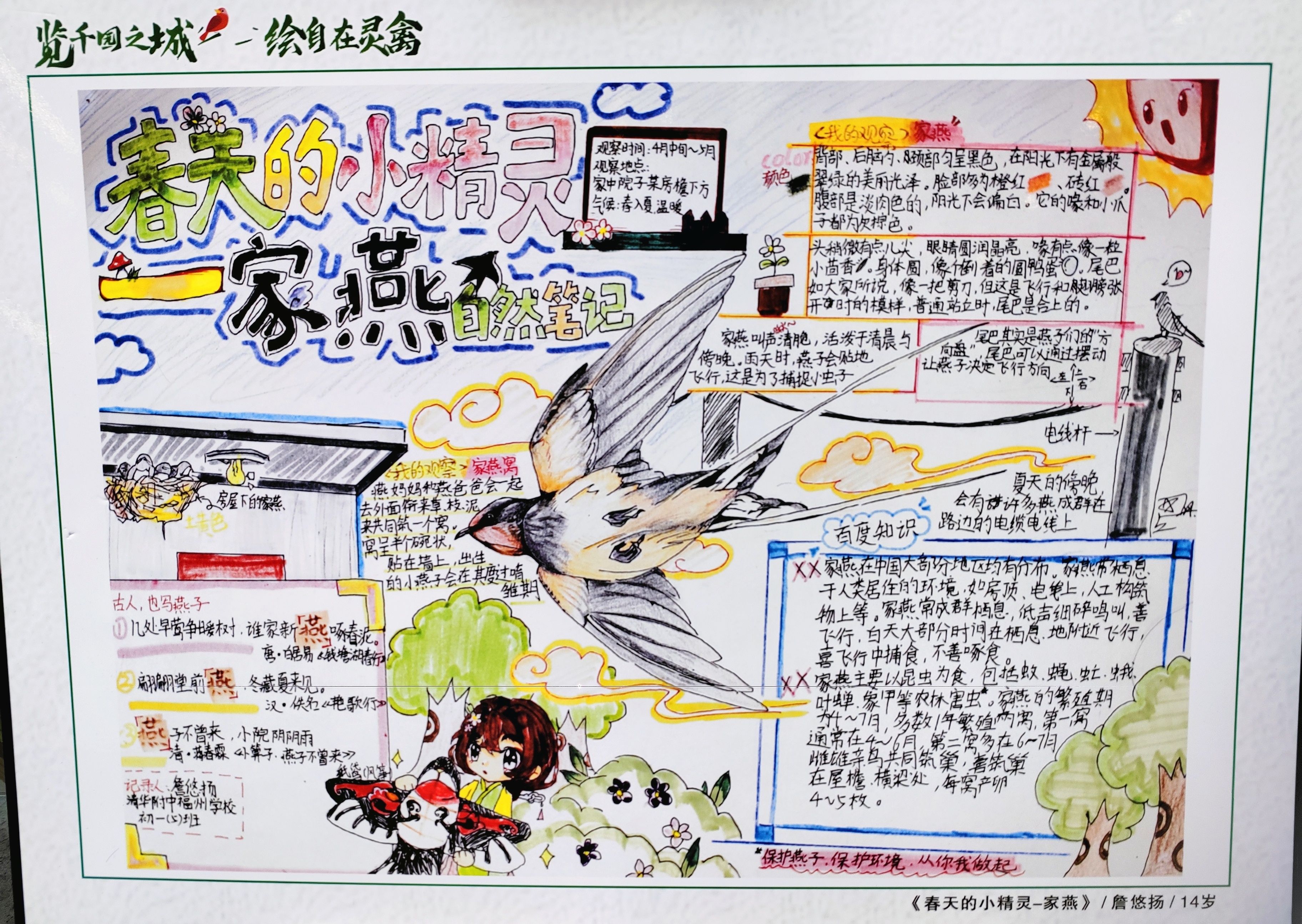 灵沼最新规划图