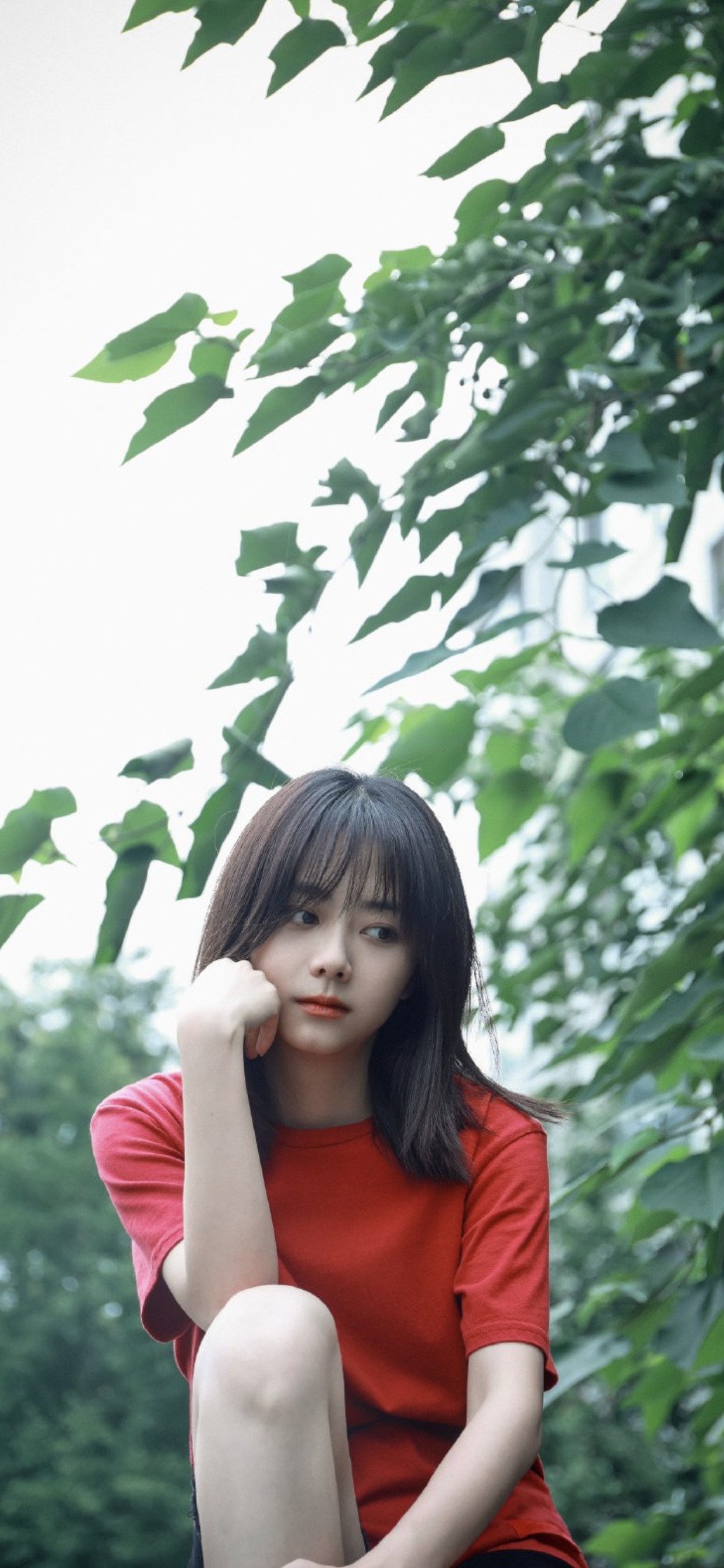 台湾妹