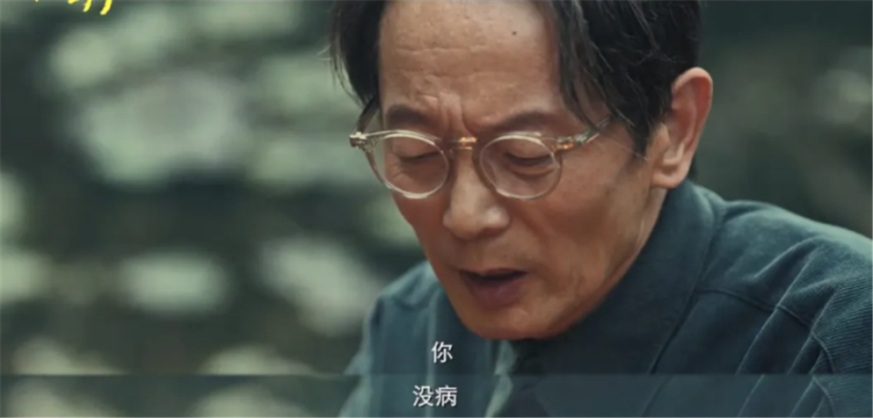 葛优最新作品深度解析，影视魅力的展现