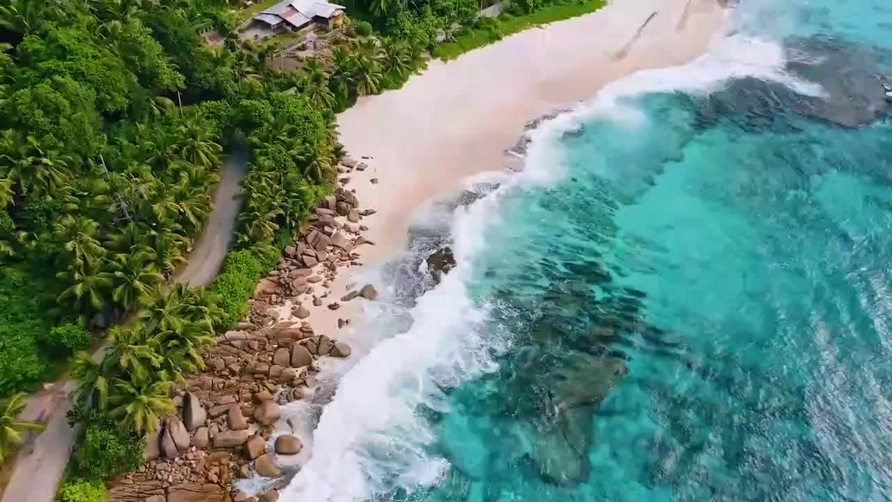 C4D最新之旅，探索自然美景，寻觅内心宁静
