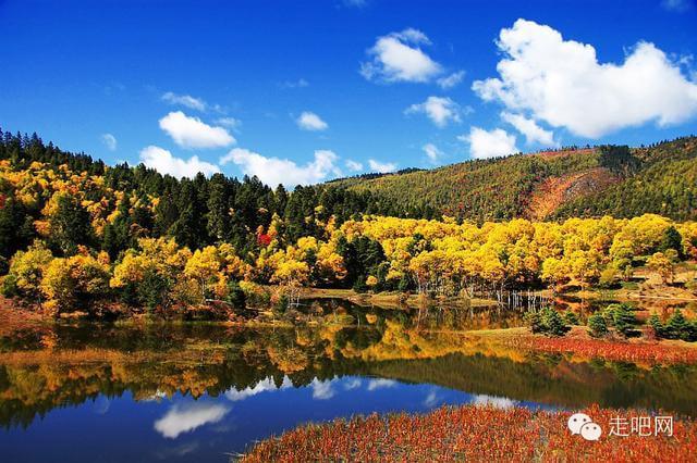 OPPO最新之旅，探索自然美景，内心宁静的寻找