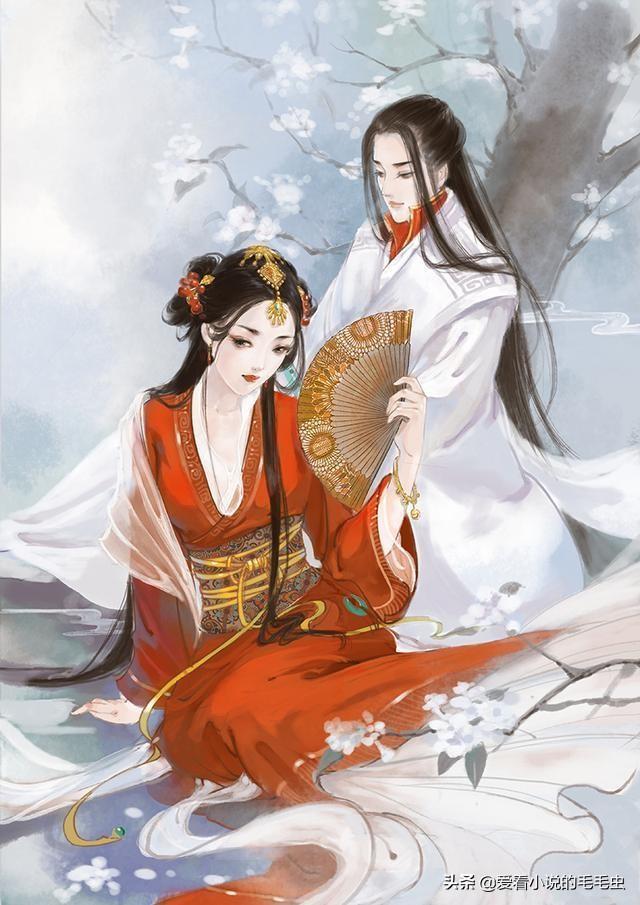 最新古言小说的魅力与争议，一种深入剖析的观点