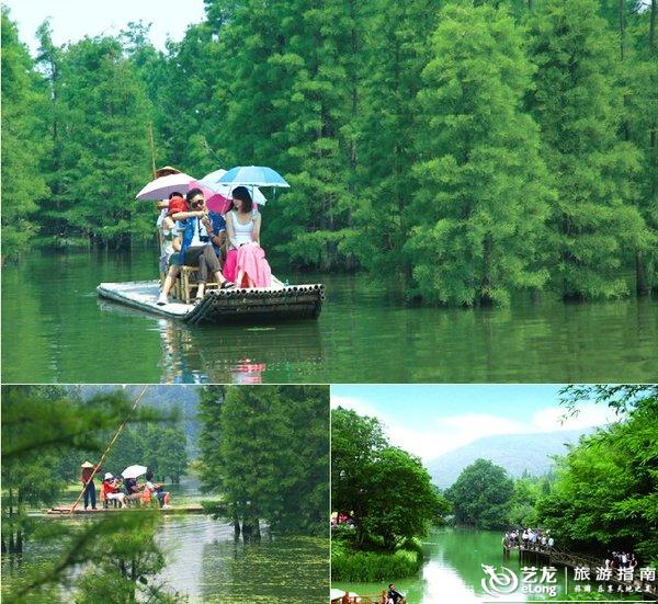 常熟最新新闻，拥抱自然，心灵宁静之旅启程
