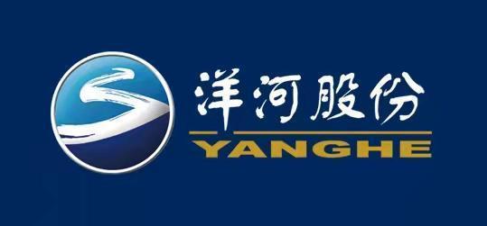 洋河股份最新动态更新🌟