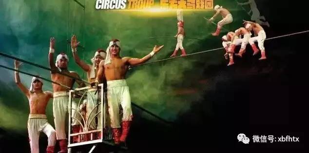 最新CG电影，视觉盛宴中的自信与成就感，迎接变化的挑战