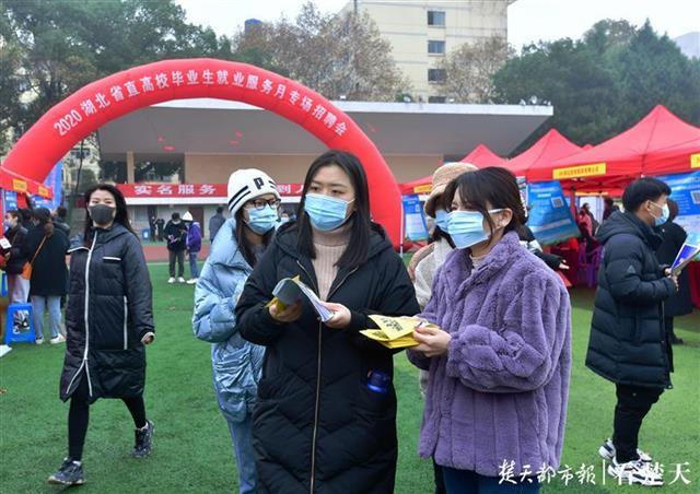 生物招聘网最新招聘，科技引领未来，人才汇聚生物领域启航新征程