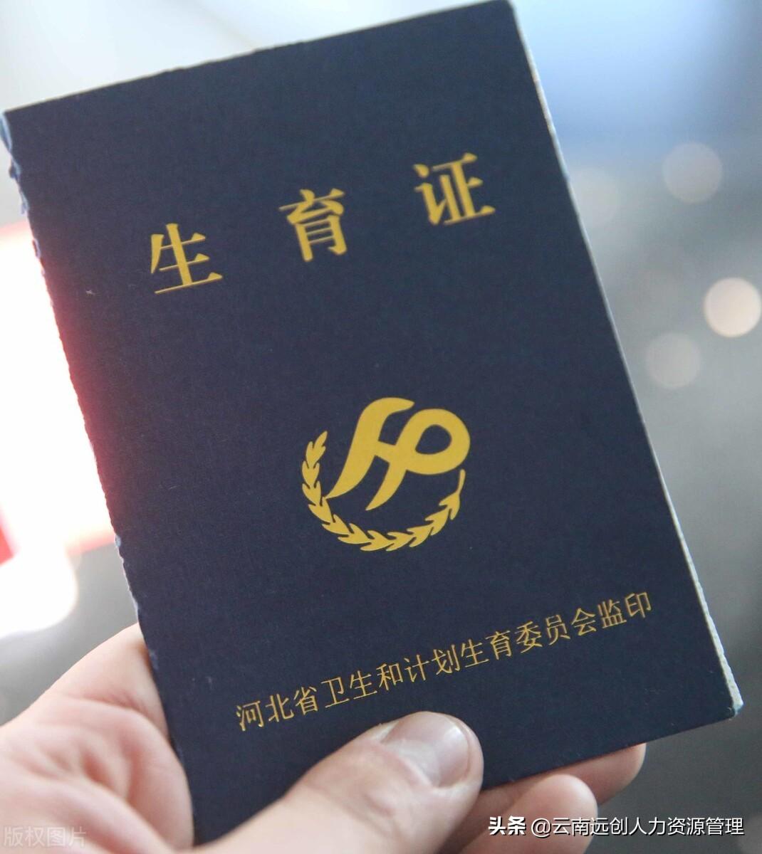 最新准生证图片办理指南，初学者到进阶用户的步骤指南