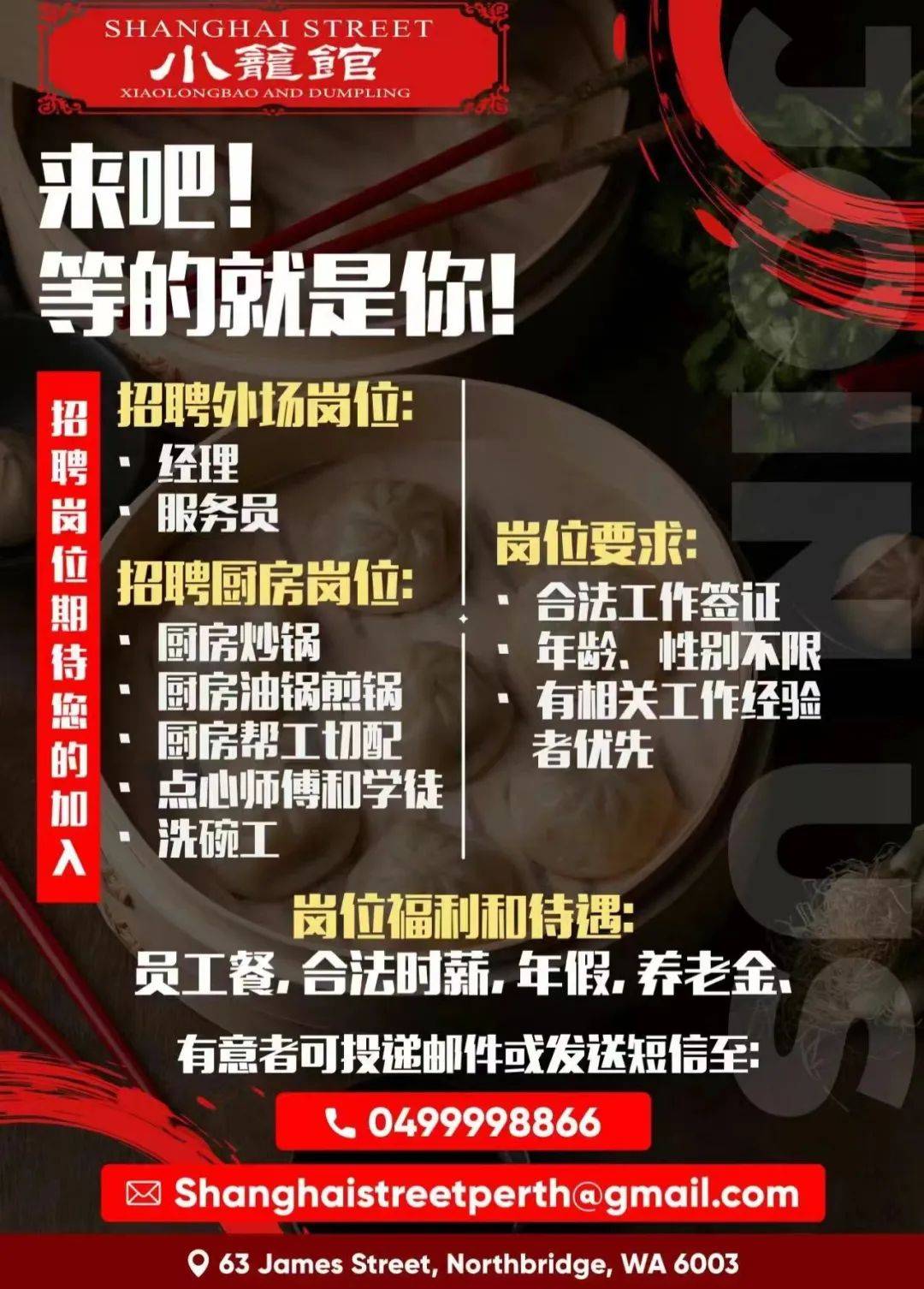 青海省招聘网最新招聘信息及小巷深处的特色小店探索！