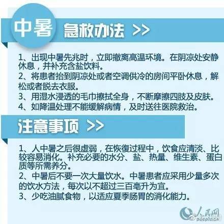 互联网服务 第1106页