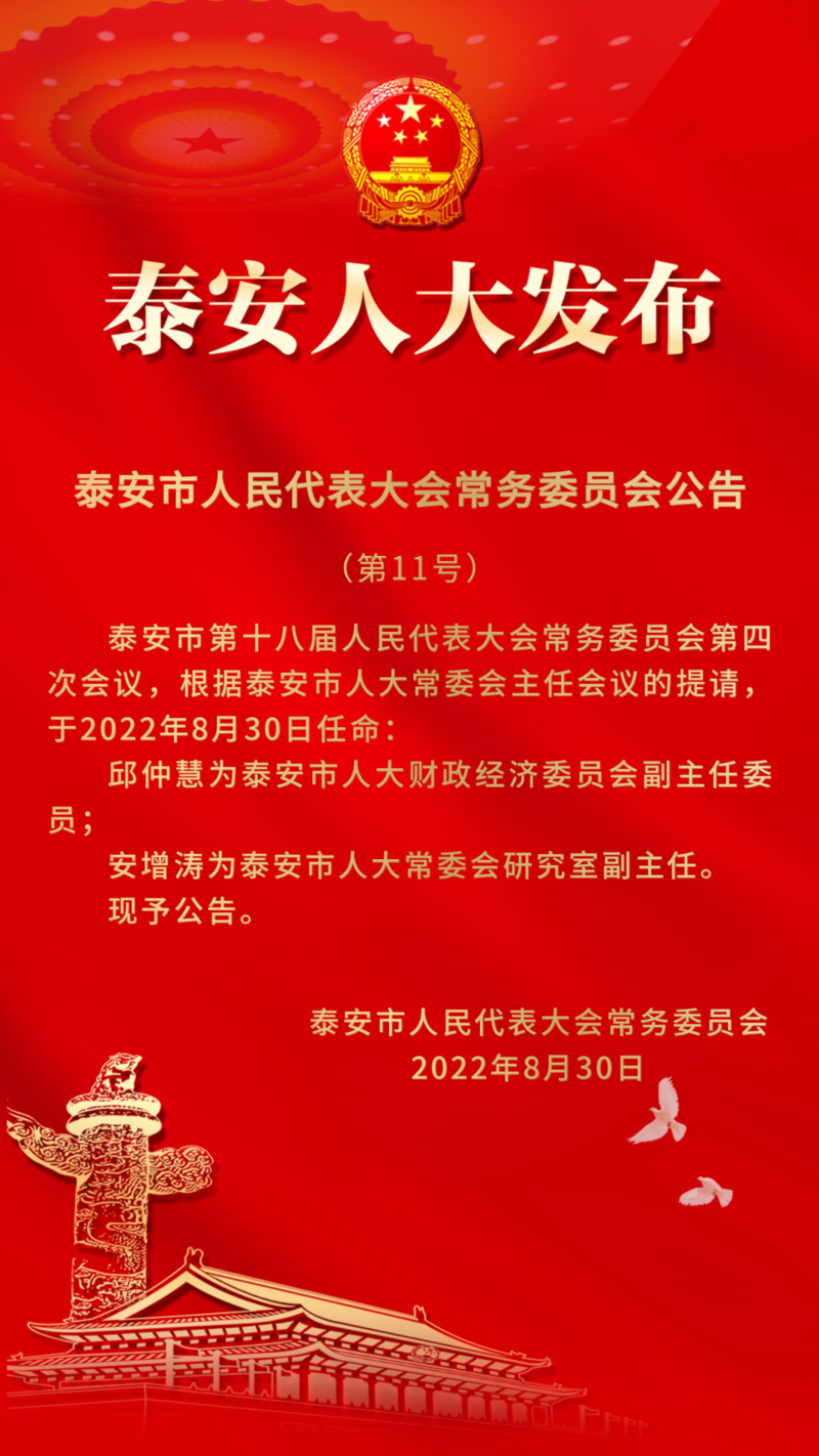 泰安最新人事任免动态更新