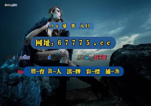 2024澳门资料正版大全深度揭秘技巧与策略_全新指南入口