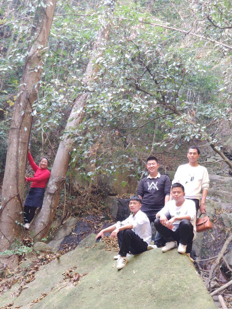 探索自然美景，战狼拍摄保守之处与重拾内心宁静的旅程