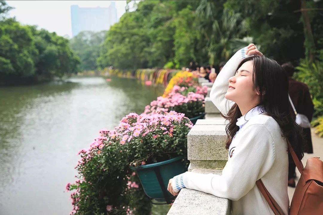 环保最新政策，开启自然美景探索之旅的轻松启程