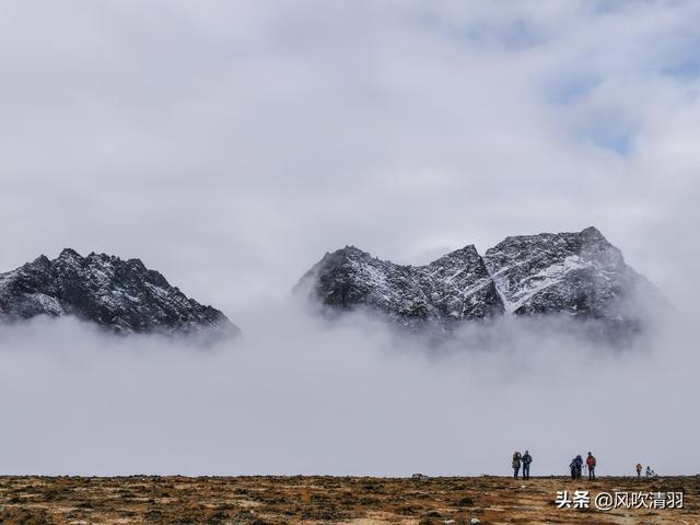 探索自然美景之旅，在线A带你寻找内心平和之地